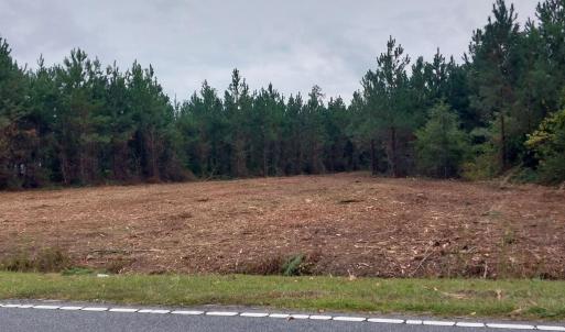 Photo #3 of Lot 7&8 Harper Rd., Marion, SC 2.7 acres