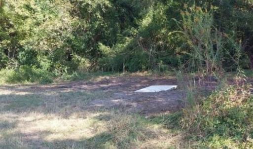 Photo #1 of lot 1 Davis Lane, Mullins, SC 1.3 acres