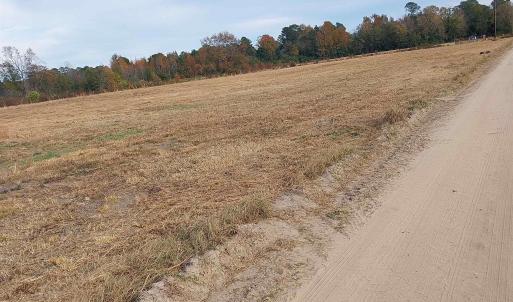 Photo #4 of lot 1 Davis Lane, Mullins, SC 1.3 acres
