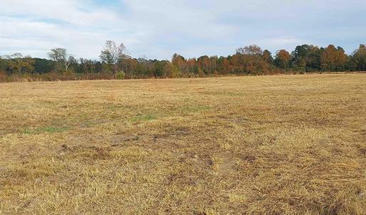 Photo #3 of lot 1 Davis Lane, Mullins, SC 1.3 acres