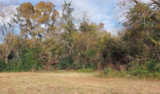Photo #5 of lot 1 Davis Lane, Mullins, SC 1.3 acres
