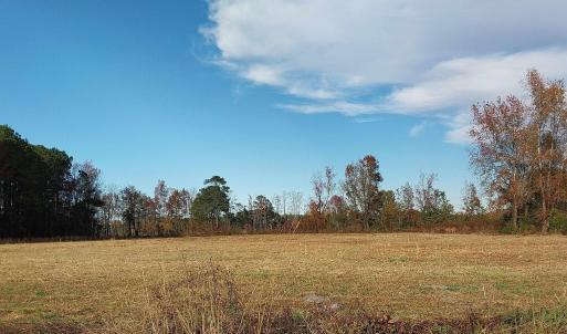 Photo #2 of lot 1 Davis Lane, Mullins, SC 1.3 acres
