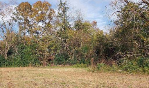 Photo #5 of lot 1 Davis Lane, Mullins, SC 1.3 acres