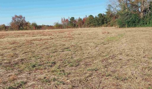 Photo #7 of lot 1 Davis Lane, Mullins, SC 1.3 acres