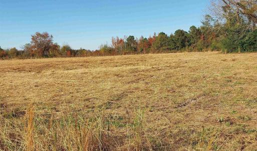Photo #6 of lot 1 Davis Lane, Mullins, SC 1.3 acres