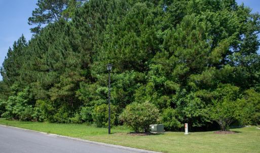 Photo #14 of 131 Waterhall Dr., Murrells Inlet, SC 0.4 acres