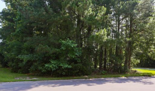 Photo #9 of 131 Waterhall Dr., Murrells Inlet, SC 0.4 acres