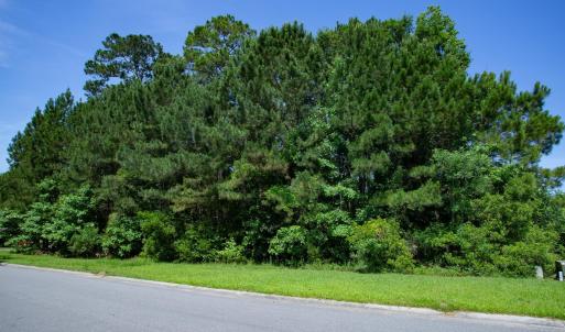Photo #13 of 131 Waterhall Dr., Murrells Inlet, SC 0.4 acres