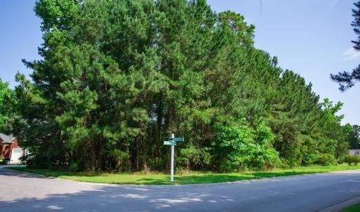 Photo #2 of 131 Waterhall Dr., Murrells Inlet, SC 0.4 acres