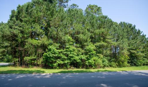 Photo #11 of 131 Waterhall Dr., Murrells Inlet, SC 0.4 acres