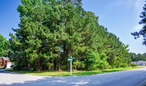Photo #3 of 131 Waterhall Dr., Murrells Inlet, SC 0.4 acres