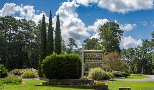 Photo #28 of 131 Waterhall Dr., Murrells Inlet, SC 0.4 acres