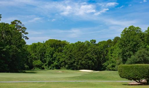 Photo #24 of 131 Waterhall Dr., Murrells Inlet, SC 0.4 acres