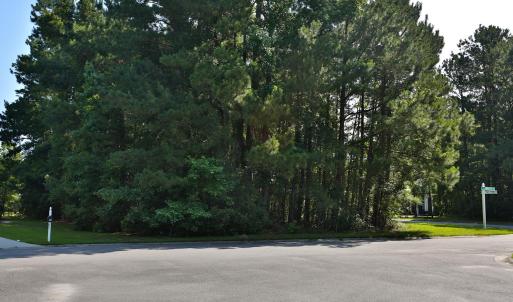 Photo #5 of 131 Waterhall Dr., Murrells Inlet, SC 0.4 acres