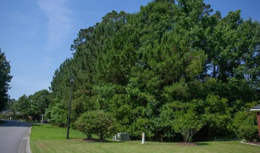 Photo #16 of 131 Waterhall Dr., Murrells Inlet, SC 0.4 acres