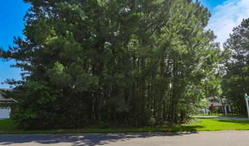 Photo #4 of 131 Waterhall Dr., Murrells Inlet, SC 0.4 acres