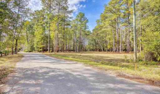 View of asphalt road featuring a forest view