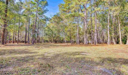 View of green lawn featuring a wooded view