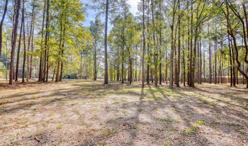 View of yard with a forest view