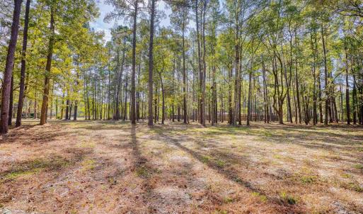 View of yard with a view of trees