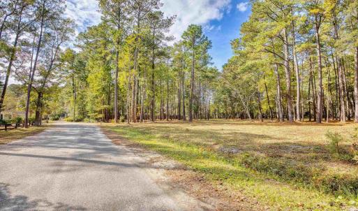 View of asphalt street with a forest view