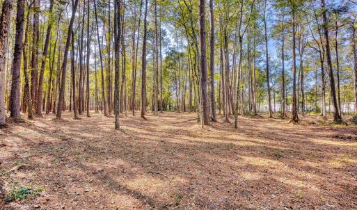 View of yard with a view of trees