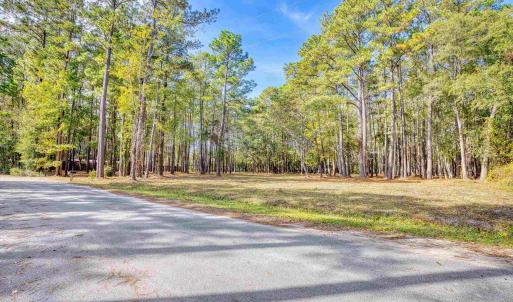 View of asphalt street with a wooded view