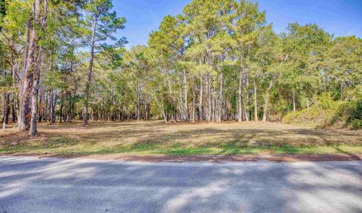 View of road featuring a wooded view