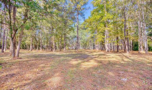 View of yard featuring a view of trees