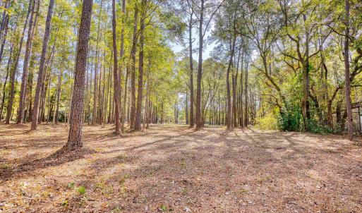 View of yard featuring a wooded view
