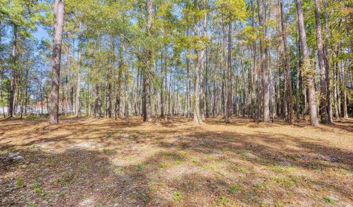 View of yard featuring a forest view