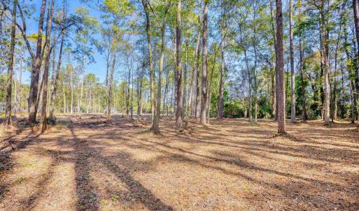 View of yard featuring a wooded view