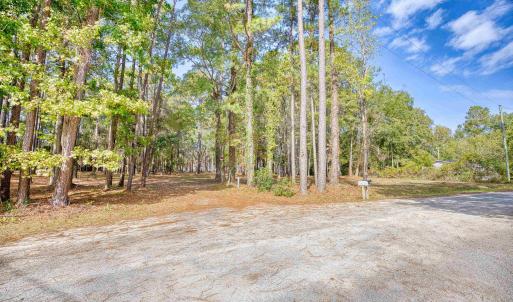 View of yard featuring a forest view