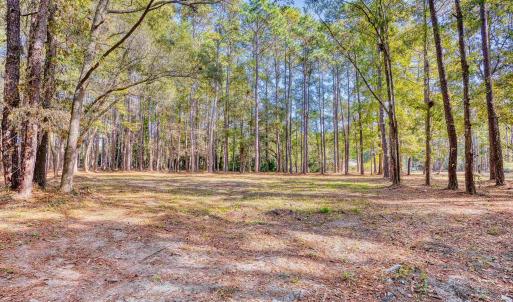 View of yard with a view of trees
