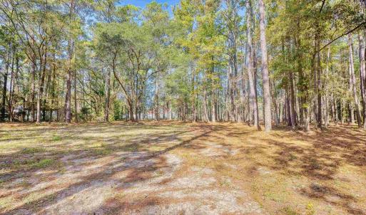 View of yard featuring a forest view
