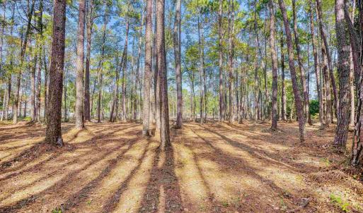 View of yard featuring a wooded view