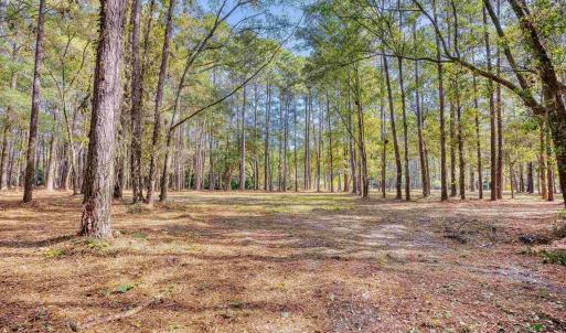 Photo #20 of 4250 Lilac Rd., Myrtle Beach, SC 3.3 acres