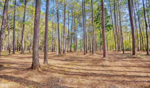 Photo #15 of 4250 Lilac Rd., Myrtle Beach, SC 3.3 acres