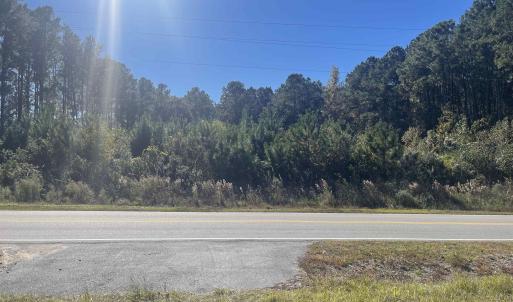 View of asphalt street with a view of trees