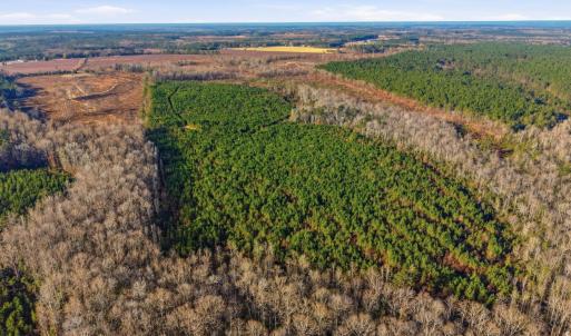 Aerial view of sparsely populated area with rows o