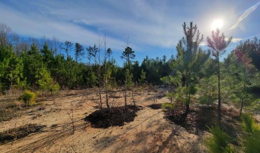 View of undeveloped land