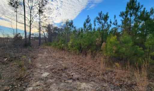 Photo #24 of TBD Highway 34, Bishopville, SC 92.7 acres