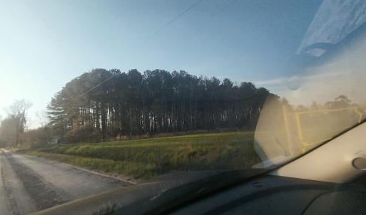 Photo #4 of 1AA Davis Lane, Mullins, SC 5.1 acres