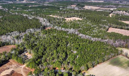 Photo #2 of TBD Sand Hill Bay Rd., Loris, SC 40.5 acres