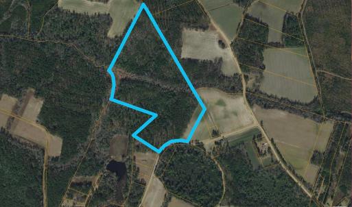 Photo #13 of TBD Sand Hill Bay Rd., Loris, SC 40.5 acres