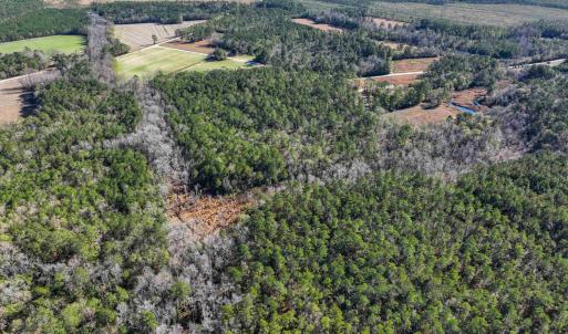Photo #8 of TBD Sand Hill Bay Rd., Loris, SC 40.5 acres
