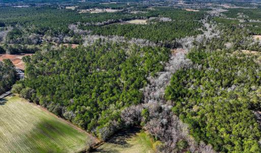 Photo #6 of TBD Sand Hill Bay Rd., Loris, SC 40.5 acres