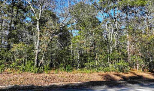 Photo #11 of TBD Sand Hill Bay Rd., Loris, SC 40.5 acres