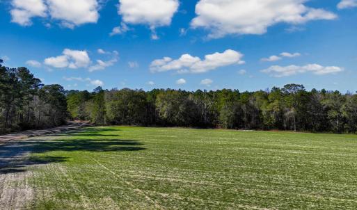 Photo #12 of TBD Sand Hill Bay Rd., Loris, SC 40.5 acres