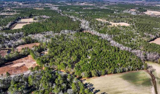 Photo #4 of TBD Sand Hill Bay Rd., Loris, SC 40.5 acres